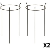 Samuel Alexander 2 Pack of Small 60cm x 35cm Heavy Duty Black Steel Herbaceous Garden Plant Support Ring | Size: 60 cm x 35 cm