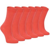 Sock Snob Women's 6 Pairs Plain Cotton Rich Dress Socks in Pink | Size: 4-7