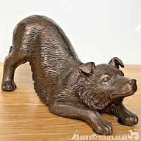 Animal Crackers Border Collie Figurine In Solid Cold Cast Bronze, Quality Dog Lover Home Decoration in Bronze