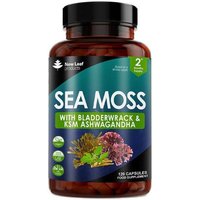 New leaf health Sea Moss Complex - Irish Sea Moss + Bladderwrack & KSM Ashwagandha 120 Capsules in Aqua