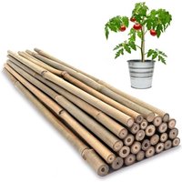 Almineez 20 x Natural Bamboo Plant Support Sticks 90cm / 3FT Plant Stakes Split Canes in Beige