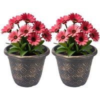 Almineez Set of 2 Rustic Plant Flower Pot Indoor & Outdoor Plastic Plant Pots Copper