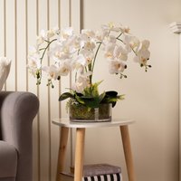 Scottish Everlastings Ltd 55cm Real Touch 5-Stem Orchid with Fern in Glass Pot in White