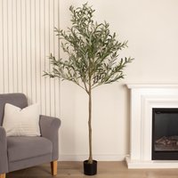 Scottish Everlastings Ltd 190cm Olive Tree in Green