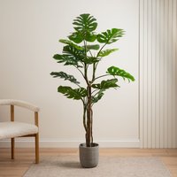 Scottish Everlastings Ltd 160cm Real Touch Monstera in Green