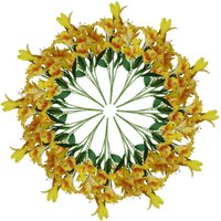 Leaf Pack 12 x 60cm Artificial Lily Stem - Yellow - 144 Flowers | Size: 12 x 60 cm