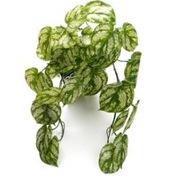 Leaf 35cm Artificial Trailing Light Green Plant
