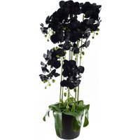Leaf 110cm Large Black Orchid Plant - Artifcial - 41 REAL TOUCH flowers in Green