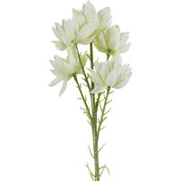 Leaf 60cm White Starflower Stem - 5 Flowers