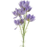 Leaf 60cm Purple Starflower Stem - 5 Flowers
