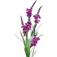 Leaf 80cm Dark Pink Larkspur Artifical Stem