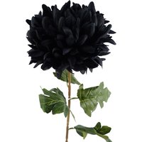 Leaf 75cm Extra Large Reflex Chrysanthemum - Black