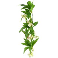 Leaf 90cm Artificial Hainan Elaeocarpus Stem in Green