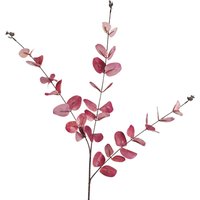 Leaf 80cm Pink Eucalyptus Foliage Stem