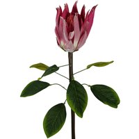 65cm Artificial Protea Sugarbush Flower Stem