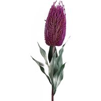 75cm Banksia Menziesii Flower Stem Artificial