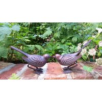 Inspirational Gifting Pair of Birds Sculpture Garden Ornament in Bronze