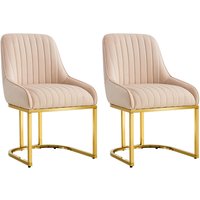Hygrad Built to Survive Set Of 2 Velvet Dining Chairs Luxury Padded Dining Room Chairs Armless Gold Legs in Cream
