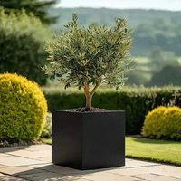 Woven Wood 40cm Zinc Galvanised Matte Black Square Planter
