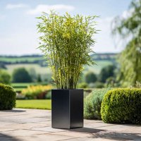 Woven Wood 50cm Zinc Galvanised Matte Black Tall Square Planter