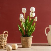 Scottish Everlastings Ltd 46cm Tulip Spray in Pot in Green