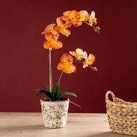 Scottish Everlastings Ltd 61cm Real Touch Orange Phalaenopsis Orchid in Pot