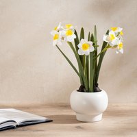 Scottish Everlastings Ltd 42cm Daffodil Spray in Ceramic Pot in Green