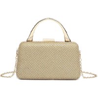 Shiny Evening Clutch Bag Handle & Chain Strap