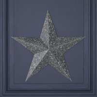 Glasstone Large Metal Decorative Wall Star in Grey