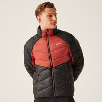 Dalent Padded Jacket