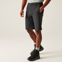 Regatta Men's Highton Long Walking Shorts in Grey | Size: 40