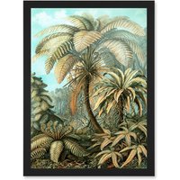 Artery8 Nature Biology Ferns Ernst Haeckel botanical Vintage Artwork Framed Wall Art Print A4 in Black