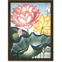 Artery8 Flowers Lotus Sacred Egyptian Bean Artwork Framed Wall Art Print A4 in Brown