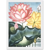 Artery8 Flowers Lotus Sacred Egyptian Bean Artwork Framed Wall Art Print A4 in White
