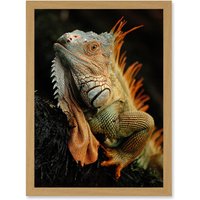 Artery8 Photo Animal Iguana Lizard Reptile Scales Spines Artwork Framed Wall Art Print A4 in Light Oak