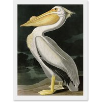 Artery8 Audubon Birds White Pelican Painting Nature Animals Artwork Framed Wall Art Print A4