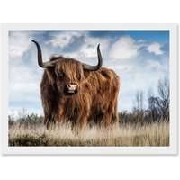 Artery8 Scottish Highland Cow Hairy Coo Photo Artwork Framed Wall Art Print A4 in White