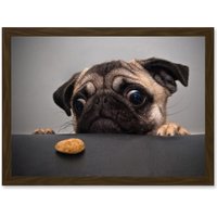 Artery8 Animal Photo Pug Dog Treat Food Eyes Cute Artwork Framed Wall Art Print A4 in Brown