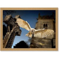 Artery8 Photo Barn Owl in Flight Bird Alba Graveyard Scotland Artwork Framed Wall Art Print A4 in Light Oak