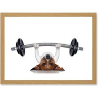 Artery8 Funny Photo Jack Russell Dog Personal Trainer Weight Lifter Artwork Framed Wall Art Print A4 in Light Oak