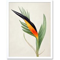 Artery8 Wall Art Print Tropical Bird of Paradise Flower Gold Black Art Framed in White | Size: W12" x H16"