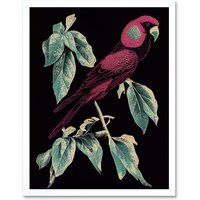 Artery8 Wall Art Print Burgundy Parakeet Retro Modern Vintage Tropical Jungle Art Framed in White | Size: W12" x H16"