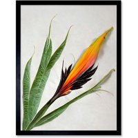 Artery8 Wall Art Print Bird of Paradise Tropical Plant Flower & Leaves on White Art Framed in Black | Size: W12" x H16"