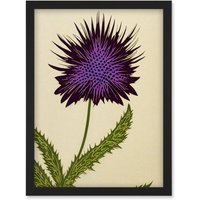Artery8 Stylized Modern Purple Scottish Thistle Flower Illustration Artwork Framed Wall Art Print A4 in Black