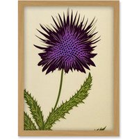 Artery8 Stylized Modern Purple Scottish Thistle Flower Illustration Artwork Framed Wall Art Print A4 in Light Oak