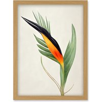 Artery8 Tropical Bird of Paradise Flower Gold Black Illustration Artwork Framed Wall Art Print A4 in Light Oak