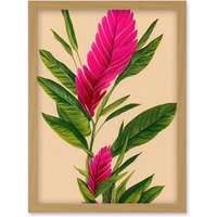 Artery8 Tropical Hawaiian Botanical Exotic Pink Floral illustration Artwork Framed Wall Art Print A4 in Light Oak