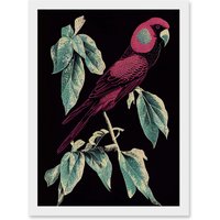 Artery8 Burgundy Parakeet Retro Modern Vintage Tropical Jungle Artwork Framed Wall Art Print A4 in White