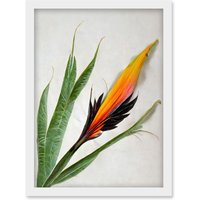 Artery8 Bird of Paradise Tropical Plant Flower & Leaves Illustration on White Artwork Framed Wall Art Print A4