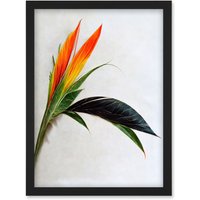 Artery8 Tropical Plant Bird of Paradise Flower Botanical Bloom Artwork Framed Wall Art Print A4 in Black